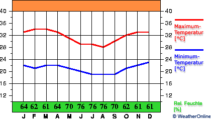 Cipó