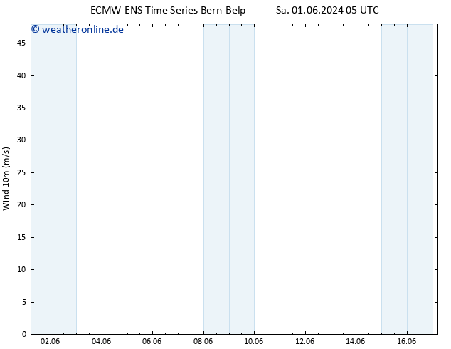 Bodenwind ALL TS Sa 08.06.2024 17 UTC