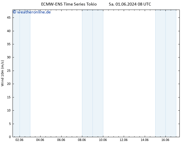 Bodenwind ALL TS Sa 08.06.2024 08 UTC