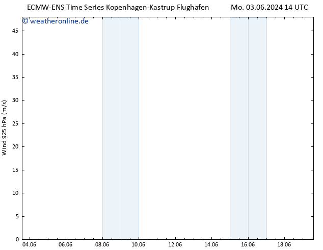 Wind 925 hPa ALL TS Mi 19.06.2024 14 UTC