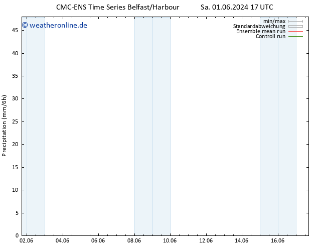 Niederschlag CMC TS Sa 01.06.2024 17 UTC